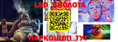 спиды Аргун
